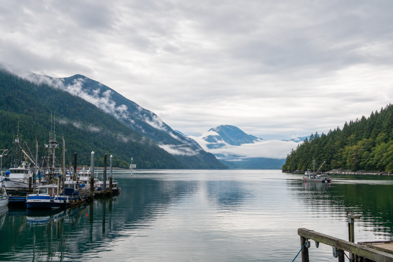 Port Alberni inlet with boats, docks, forested mountains, and soft coastal mist